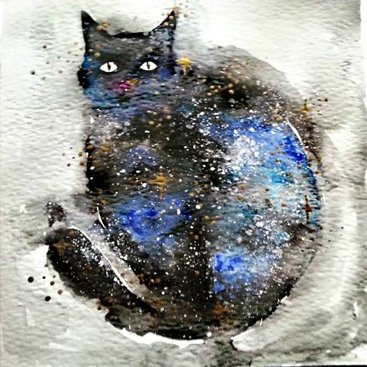 163 galaxykitty