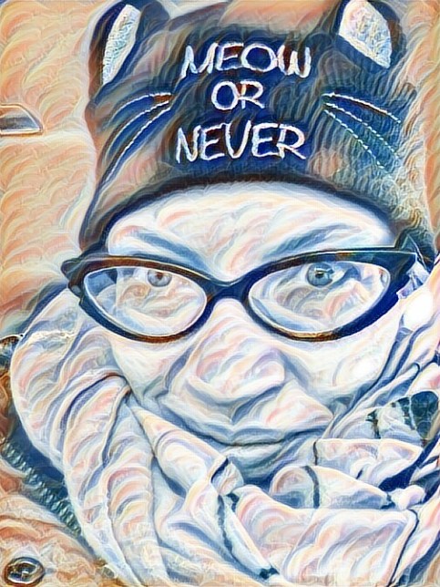 1-meow-or-never