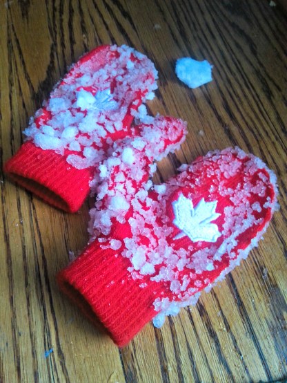 69 canadian mittens.jpg