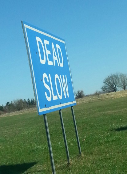 222 slow down.jpg