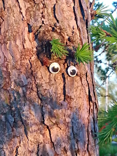 232 bushy eyebrows.jpg