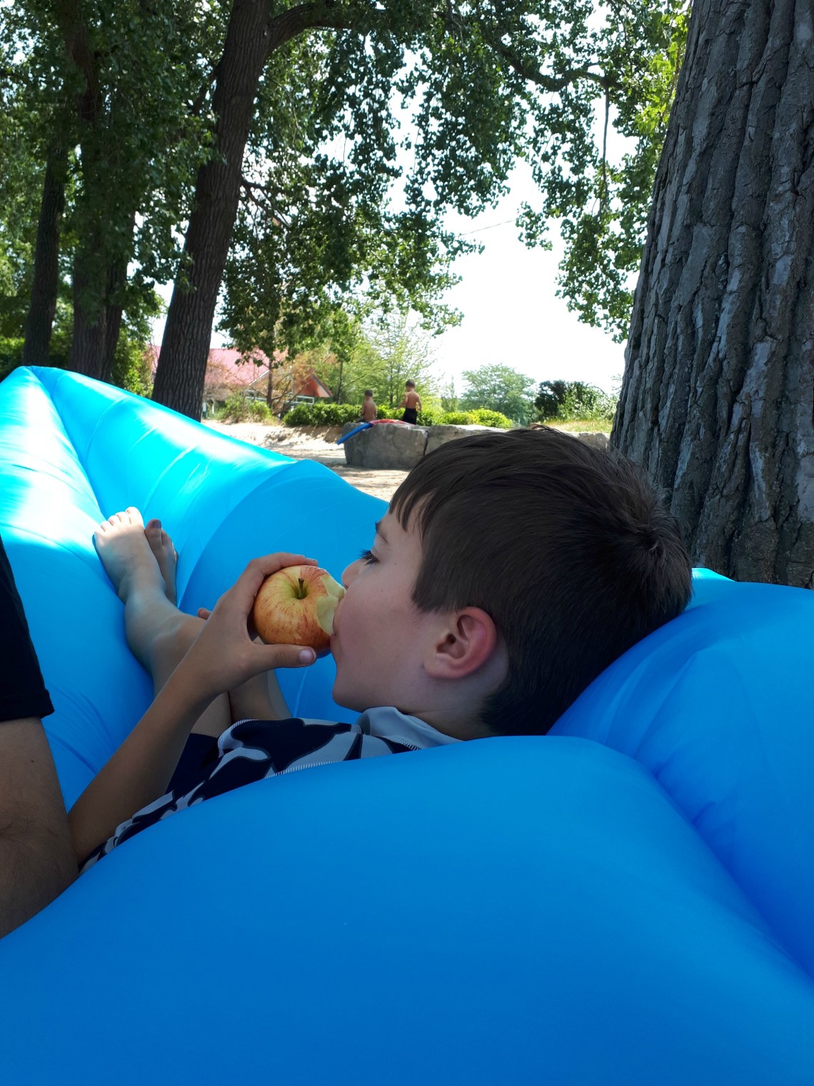 239 an apple a day.jpg