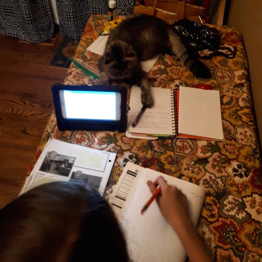 269 study buddies.jpg