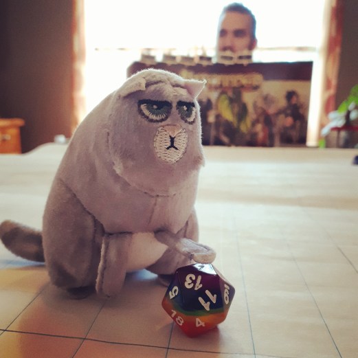 270 dice shameing cat.jpg