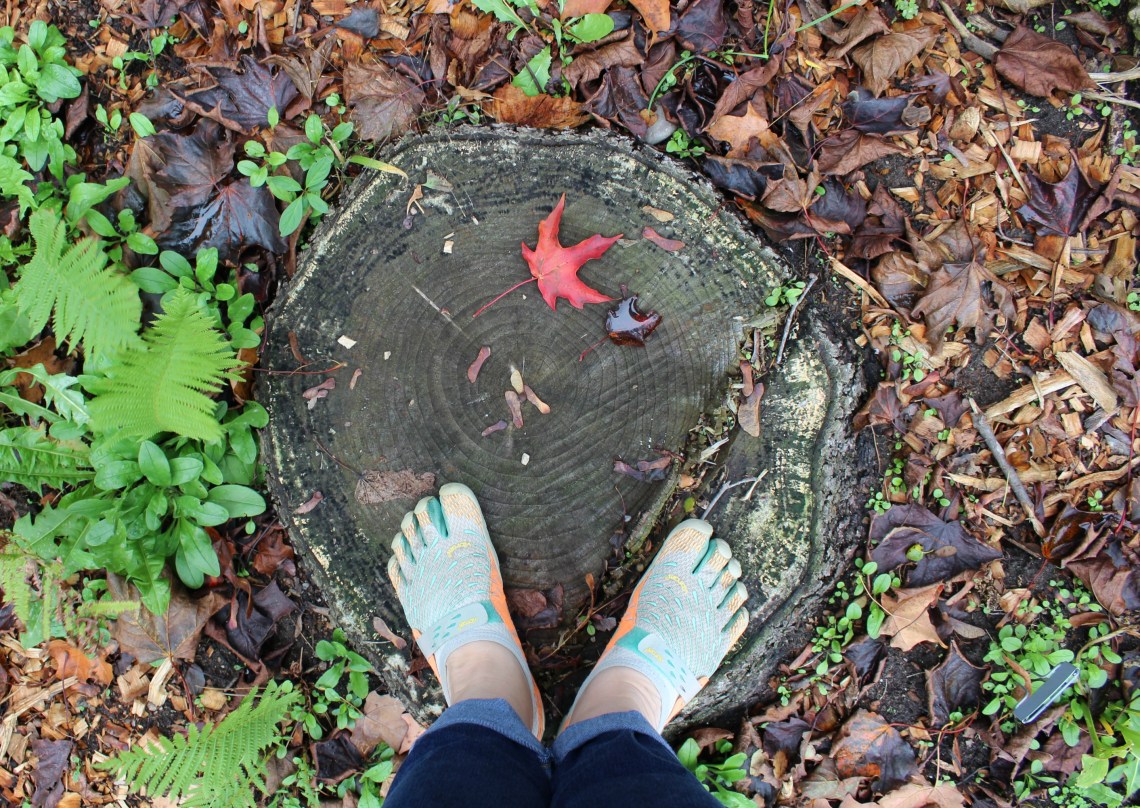 285 greens and browns