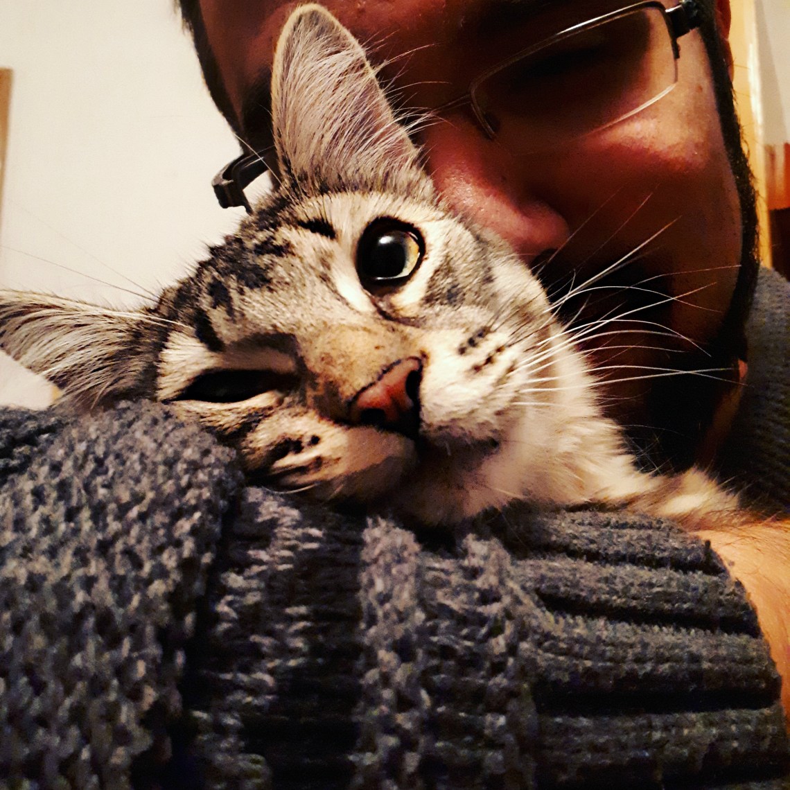 309 post work snuggles.jpg