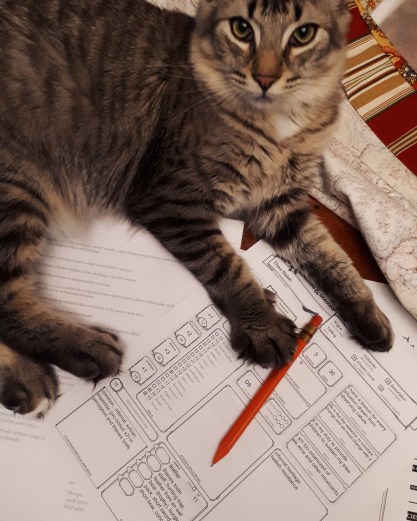311 DnD cat.jpg