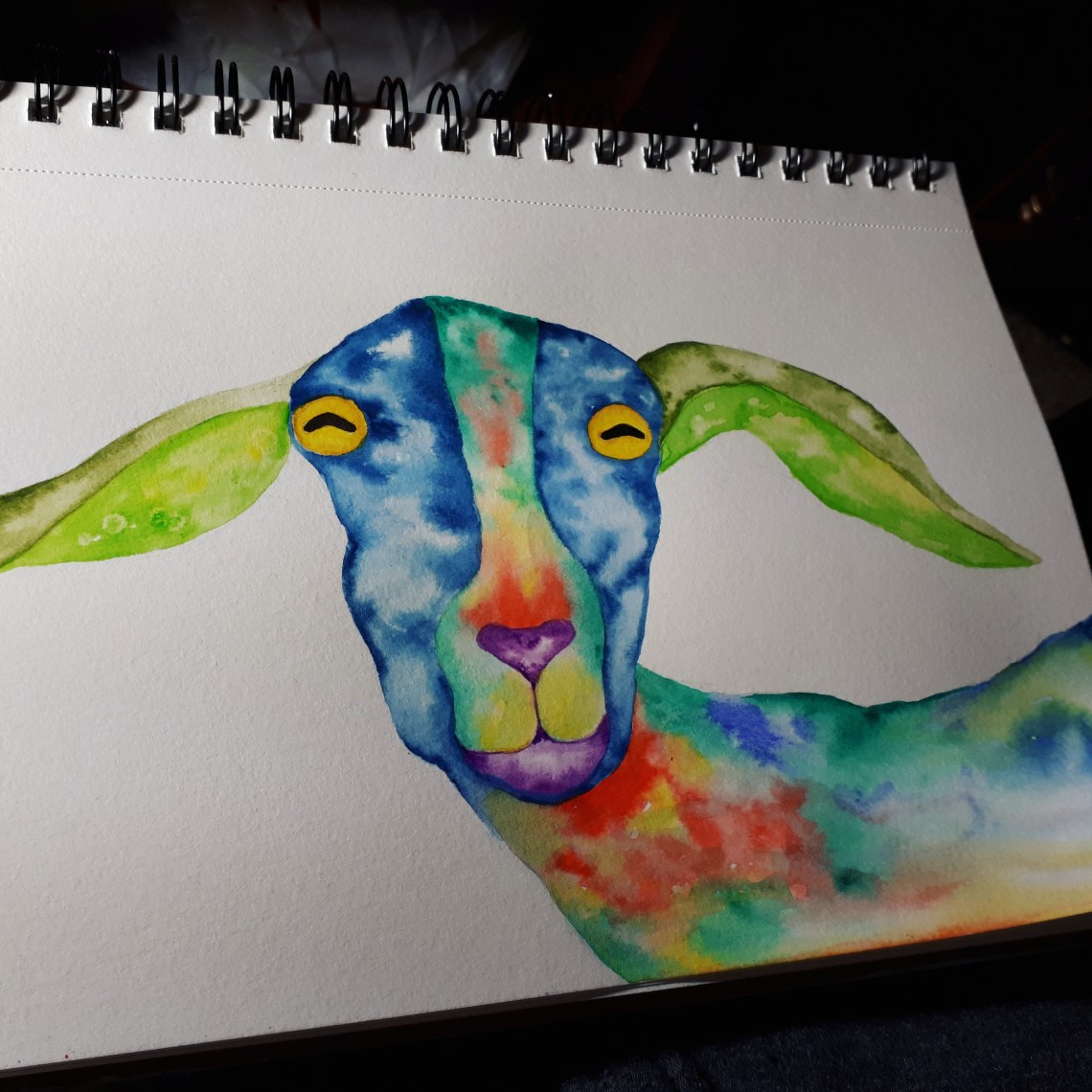 335 colourful goat.jpg