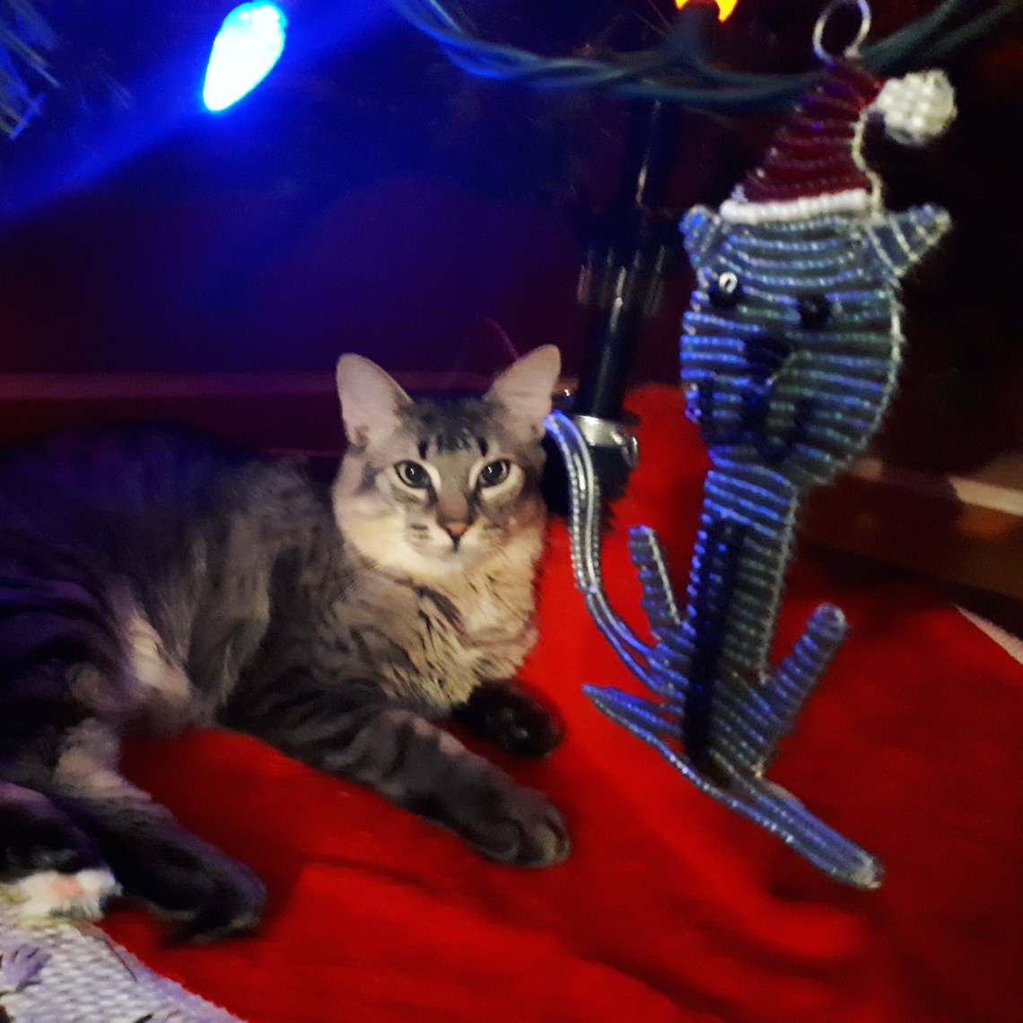 343 tree is up leo aproves.jpg