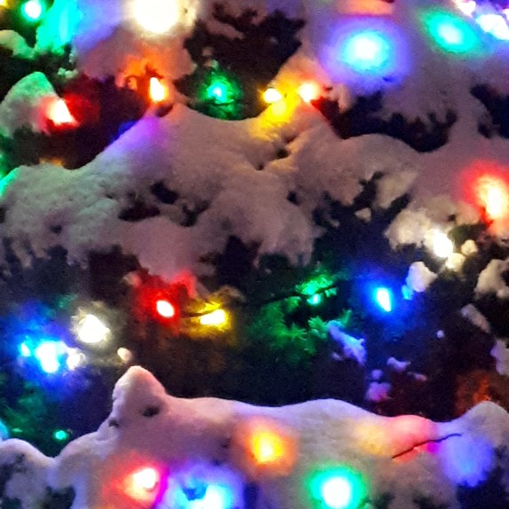 363 - 358 -lights.jpg