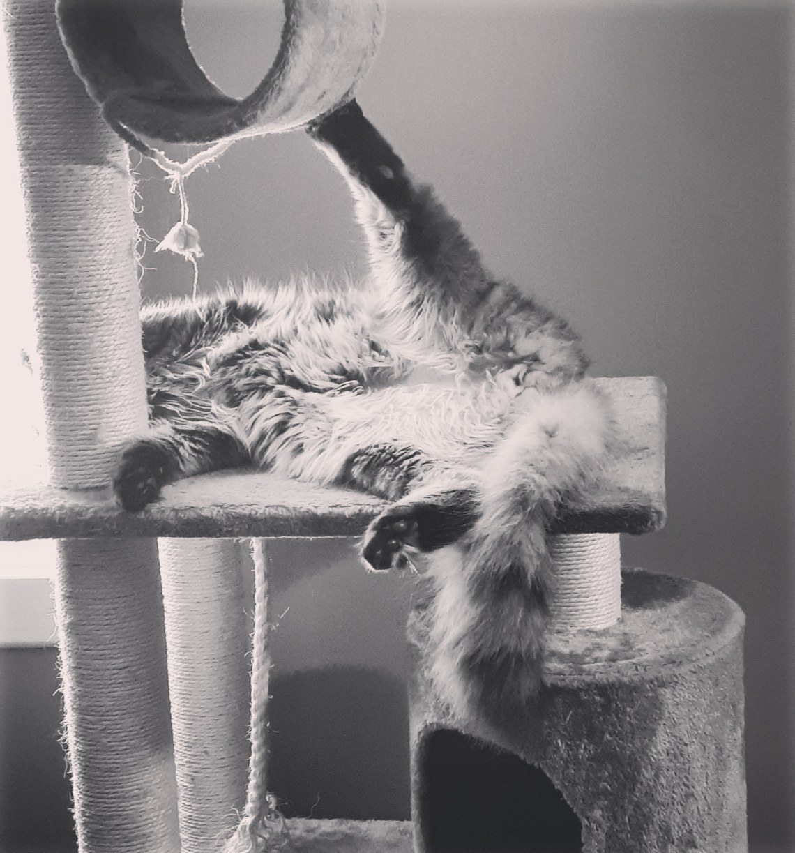 13 he is beauty he is grace.jpg