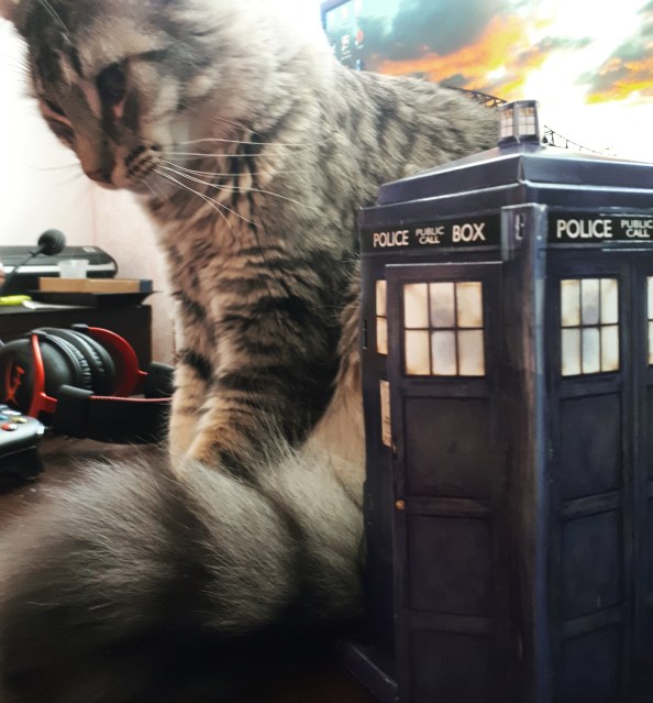 371 - 365 bigger on inside