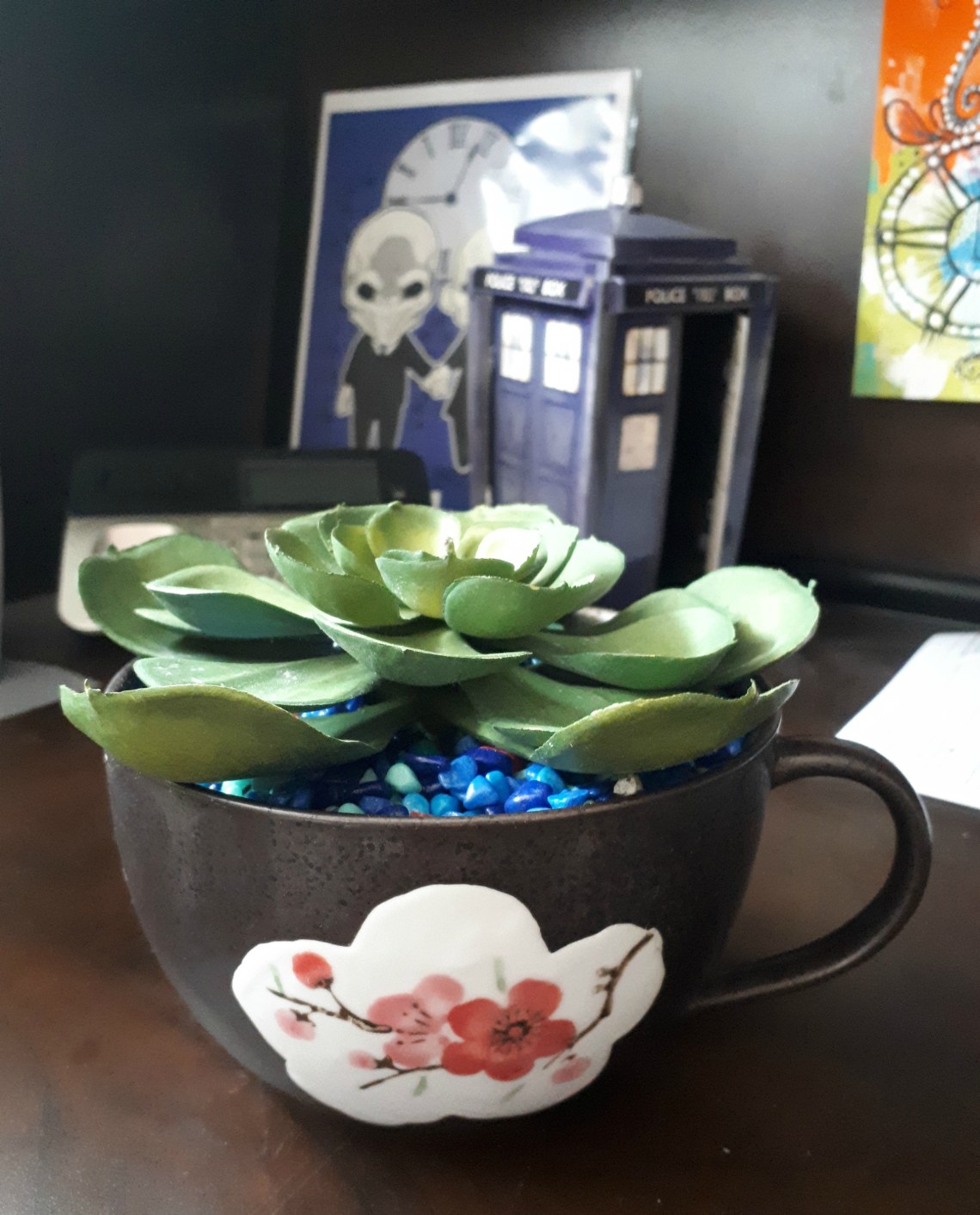 68 new succulant.jpg