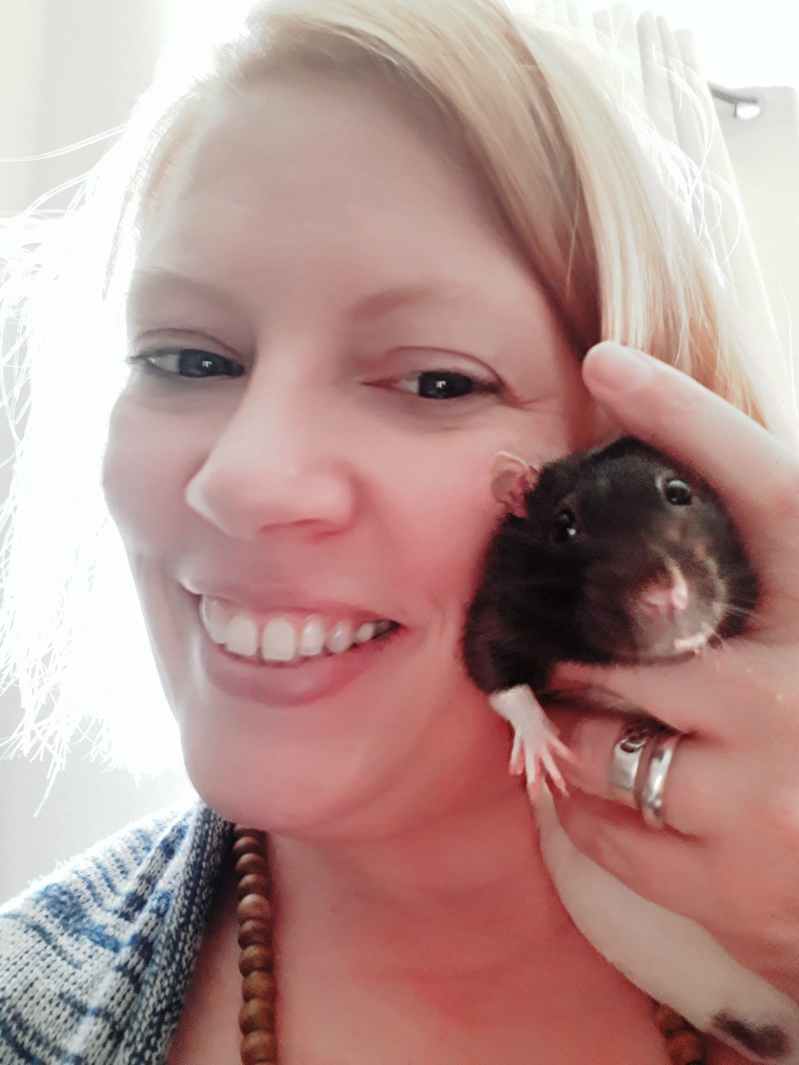 88 morning rat snuggles.jpg