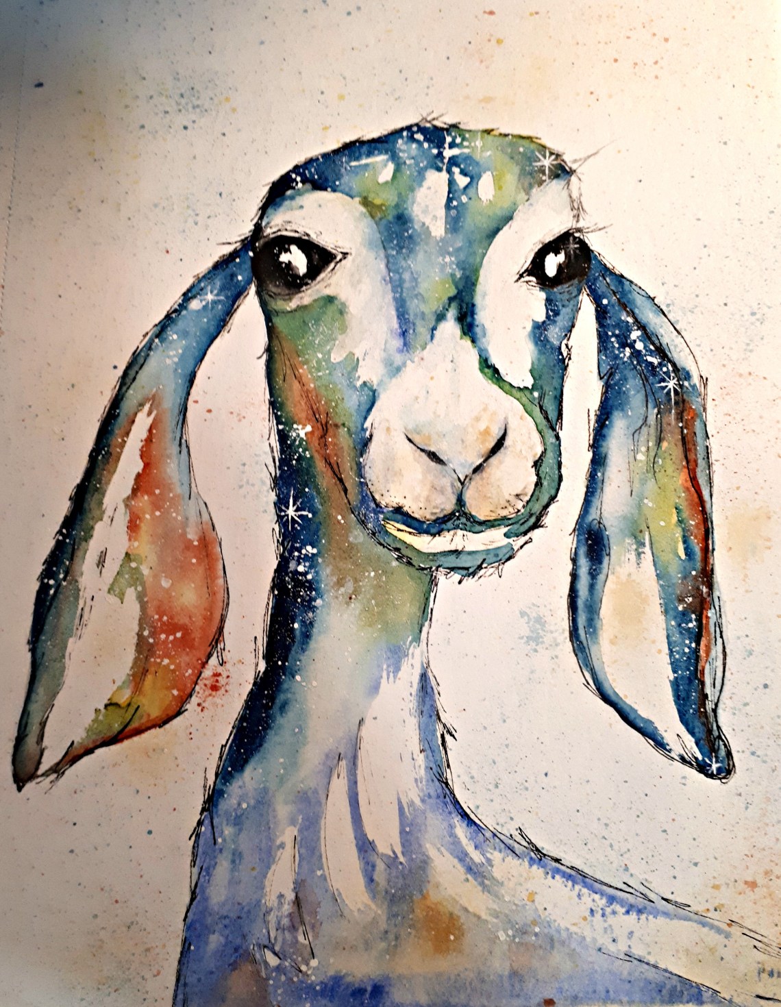 118 painted goat.jpg