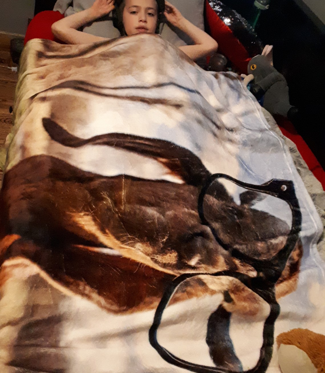 125 goat blanket.jpg