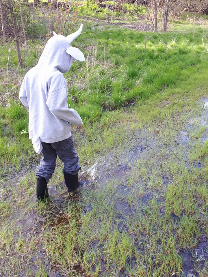 135 goat in puddle.jpg