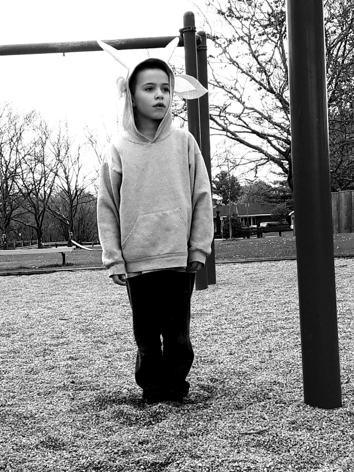 143 georgeous goat.jpg