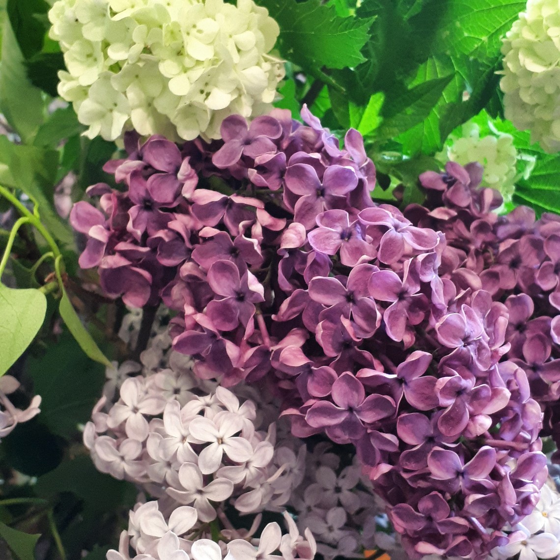 152 colour pallet.jpg