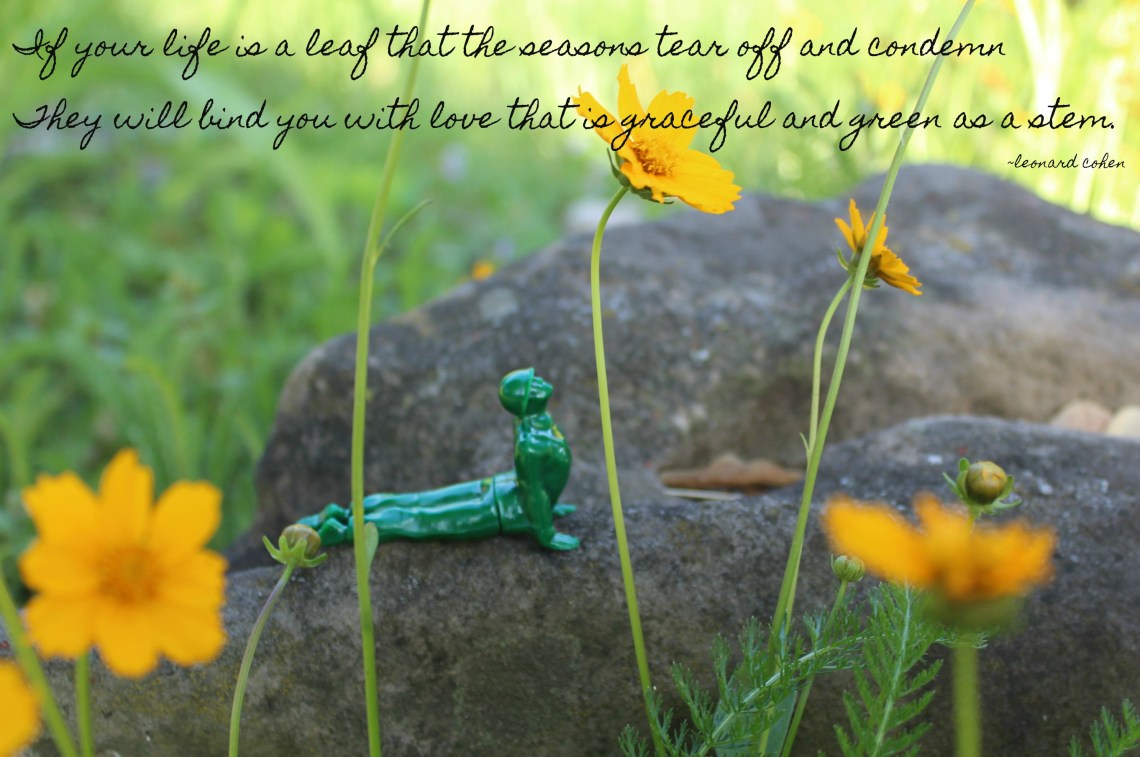 159 sisters of mercy