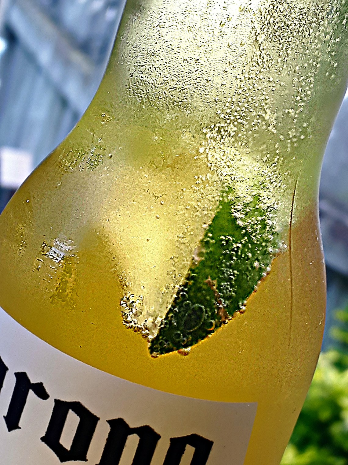 166 tastes like summer