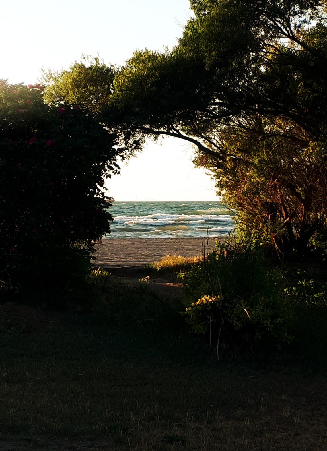 169 beach portal.jpg