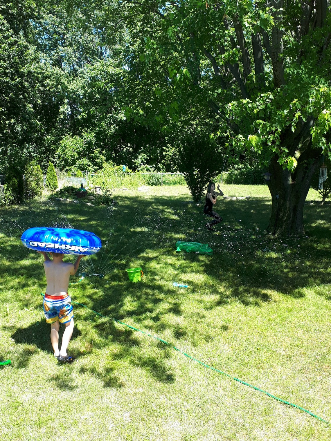 178 backyard summer.jpg