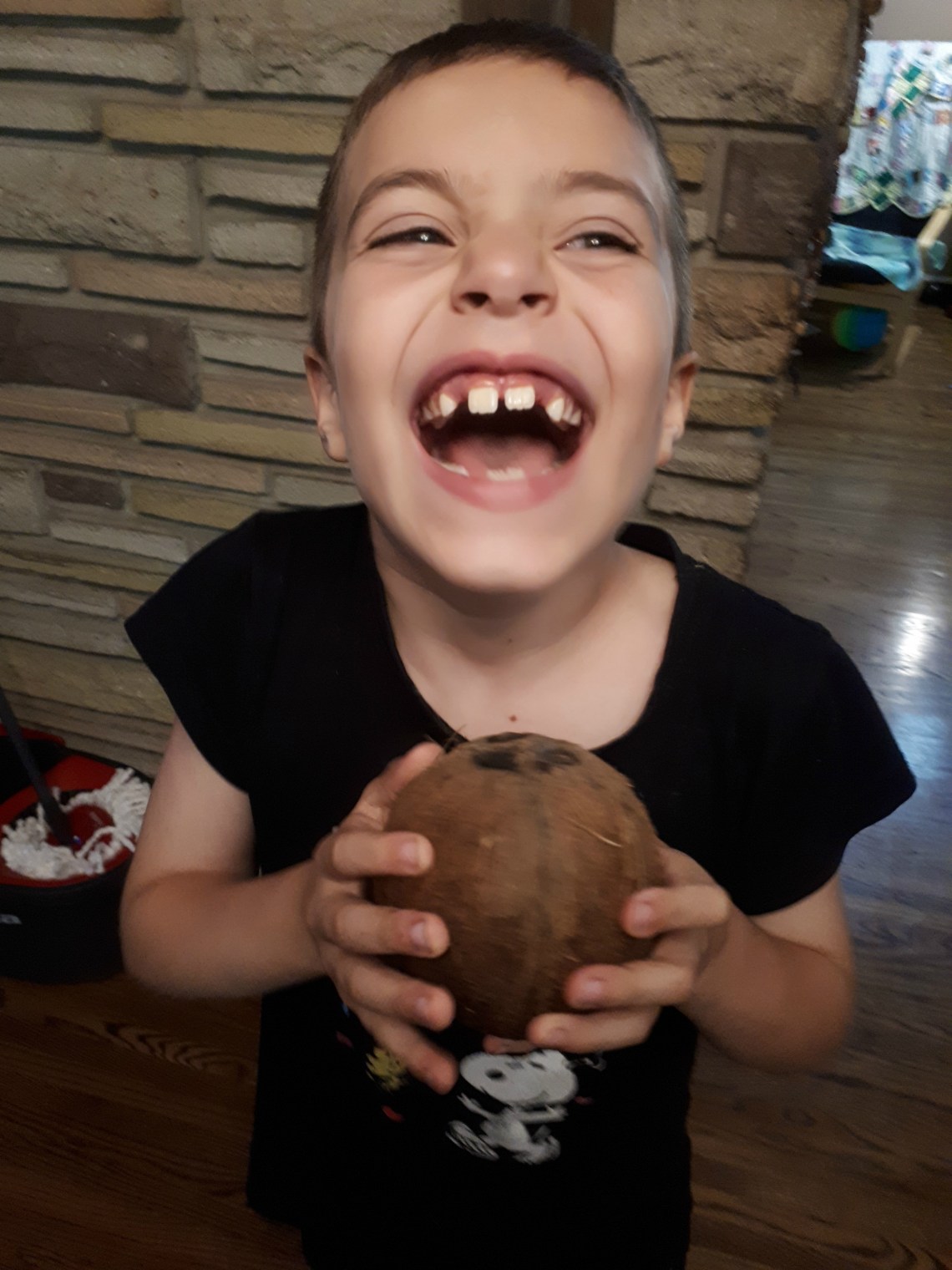 192 co-co for coconuts