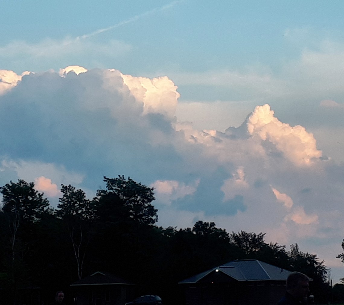 219 storm beauty.jpg