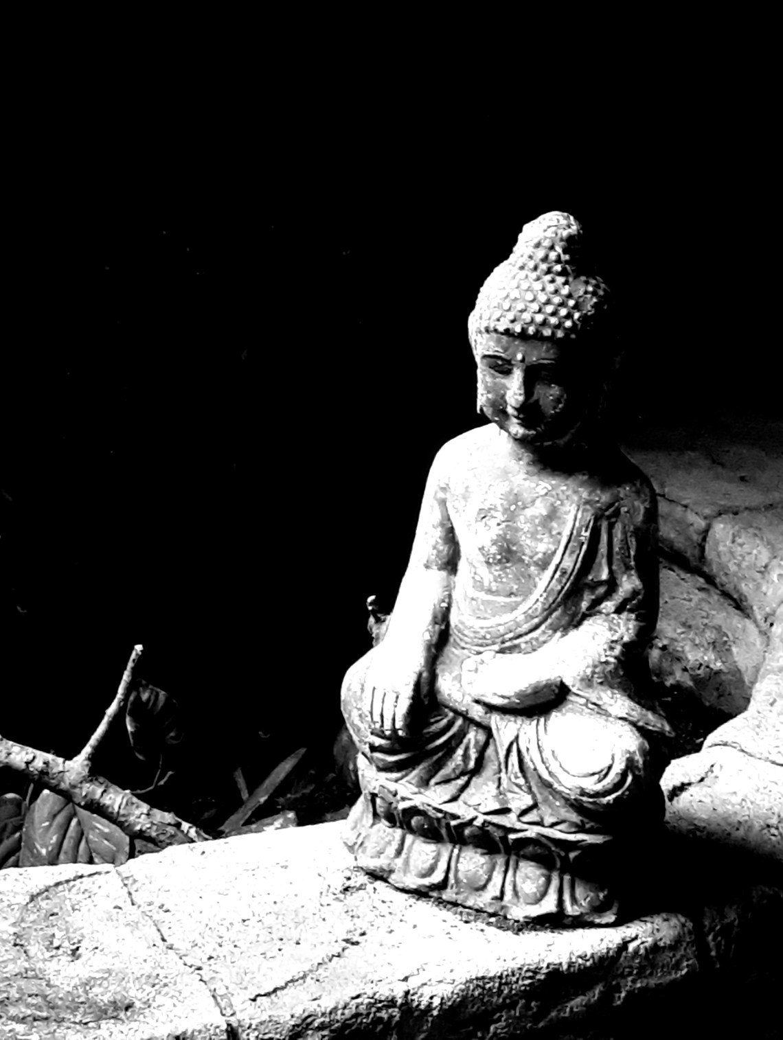 223 a peaceful corner