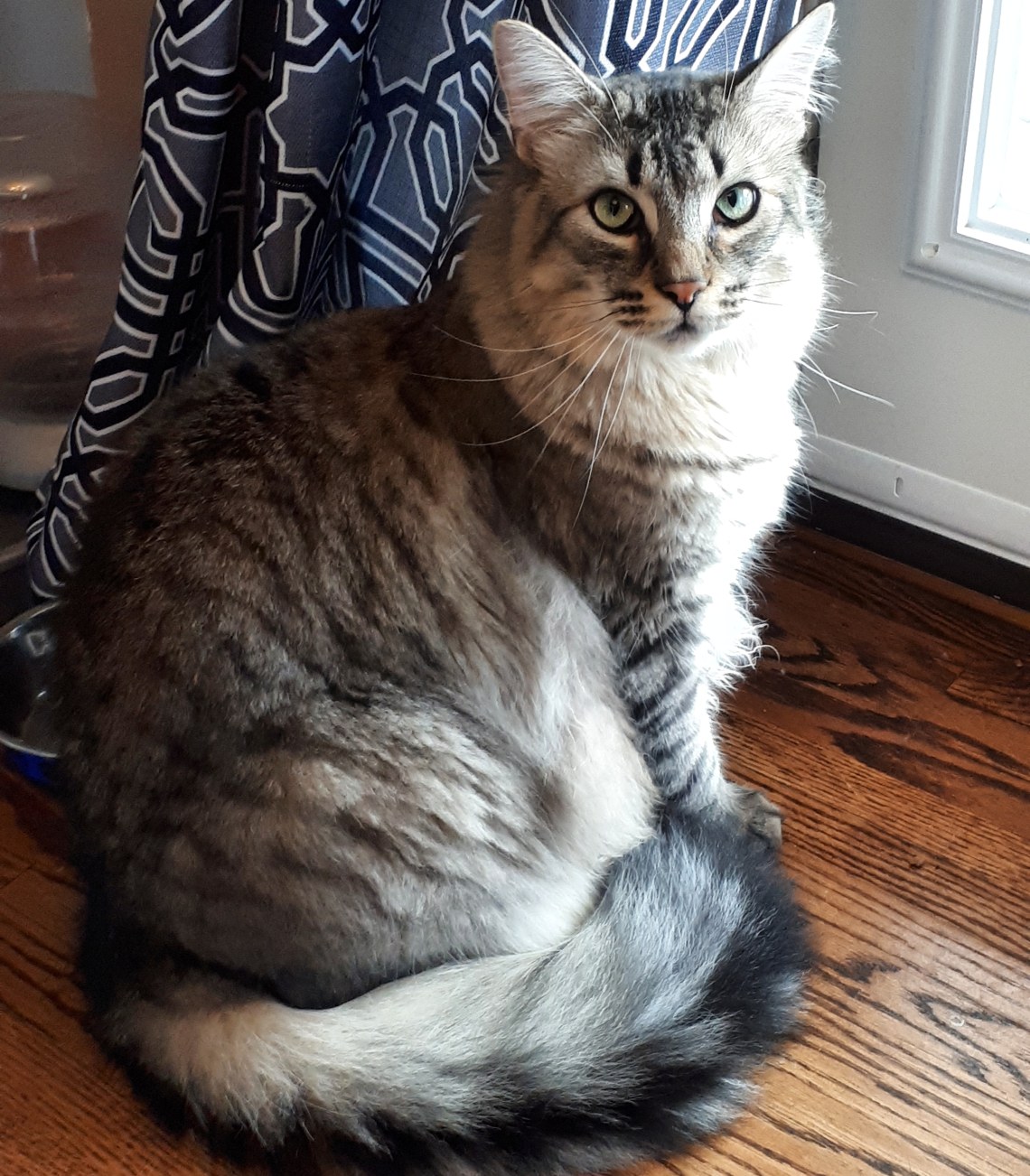 231 bird watching.jpg