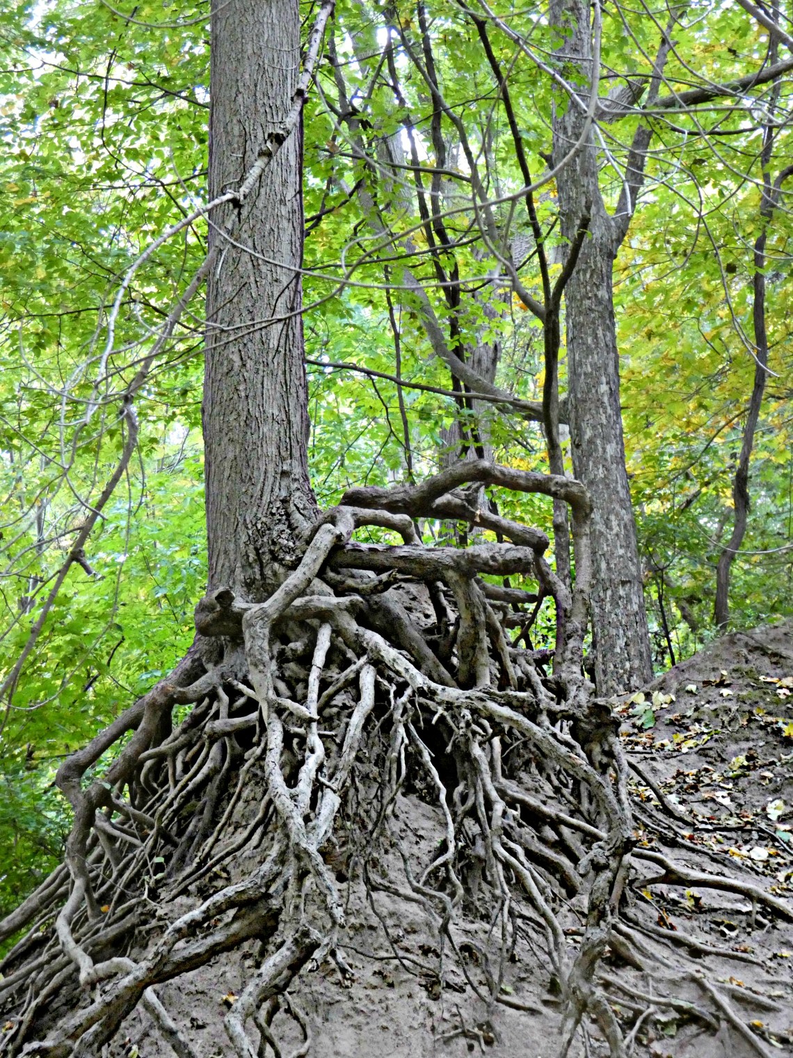 280 erosion exposure