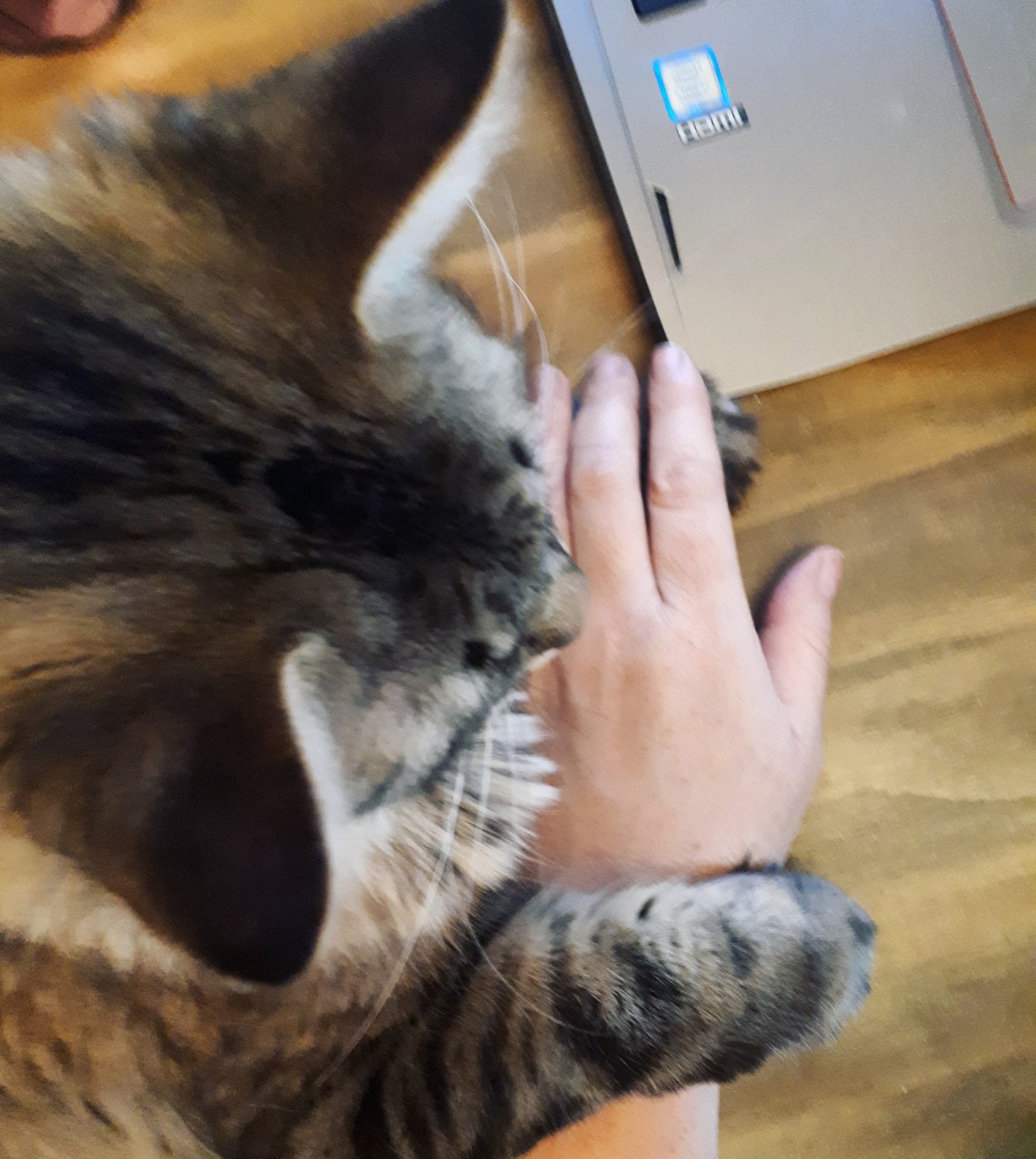 302 hand holding.jpg