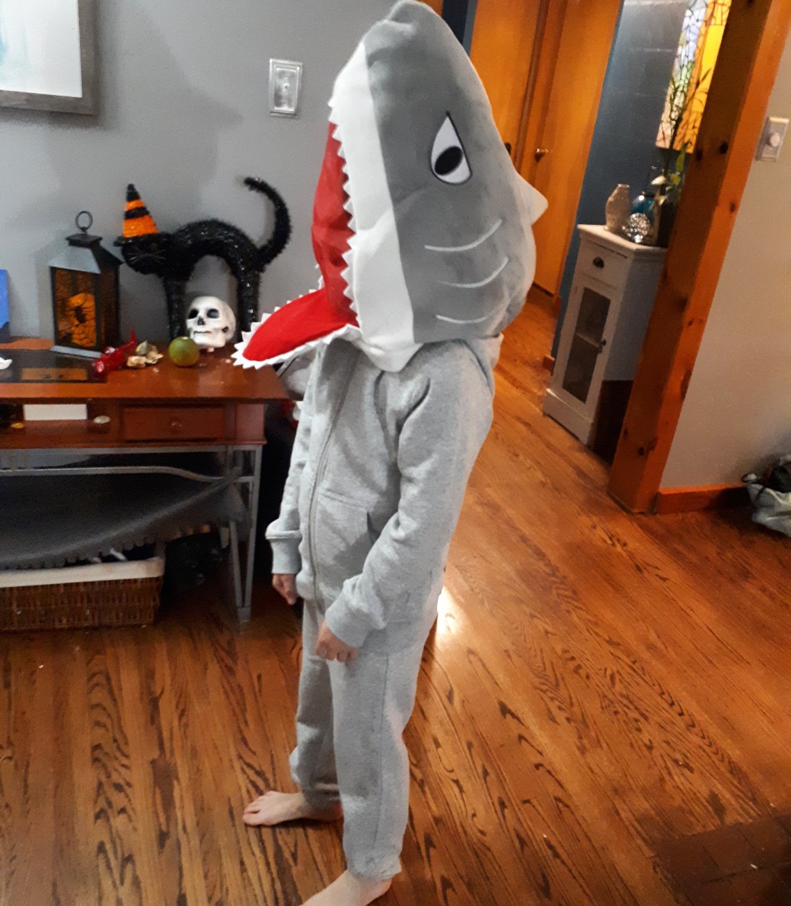 303 3rd grade shark.jpg
