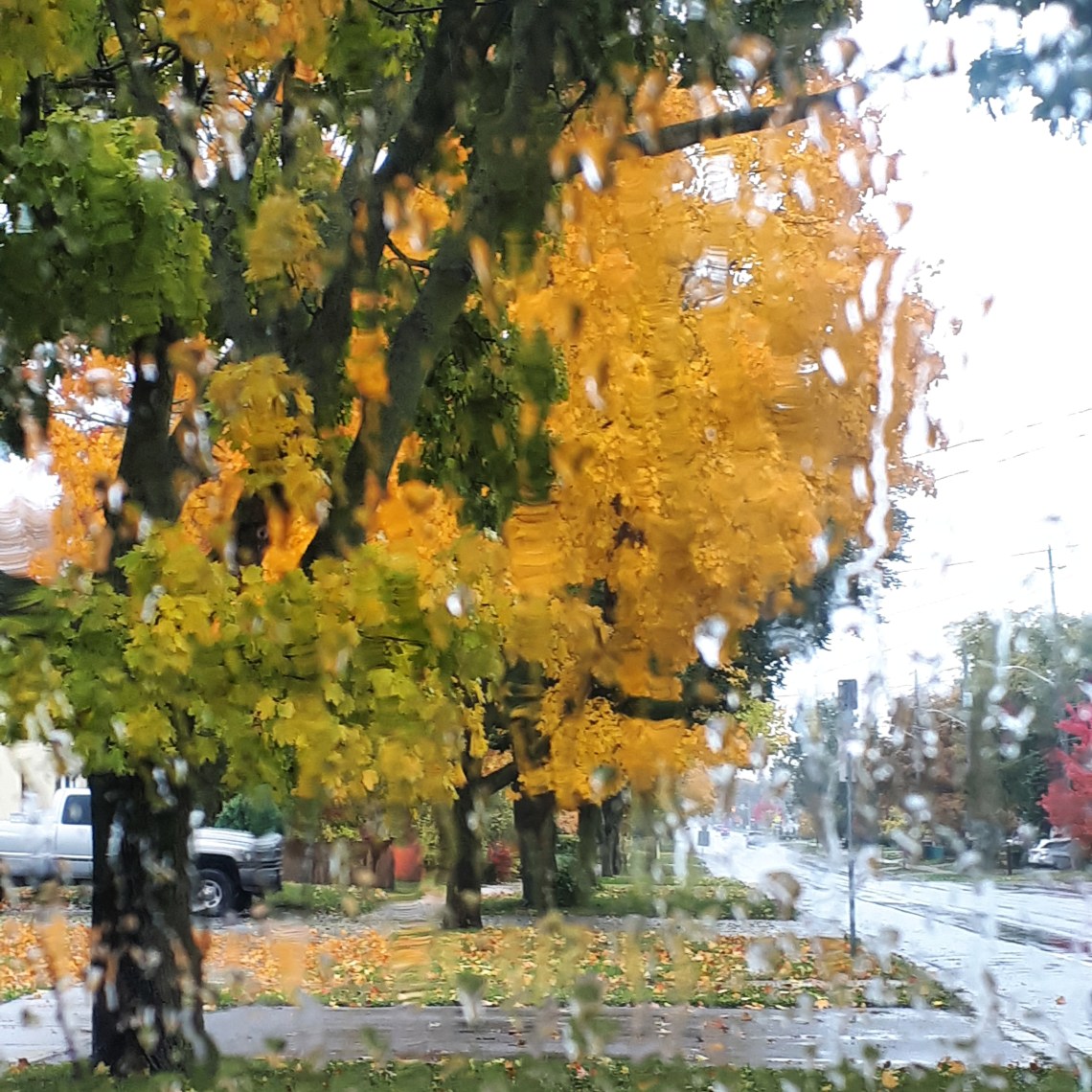 305 november rain.jpg