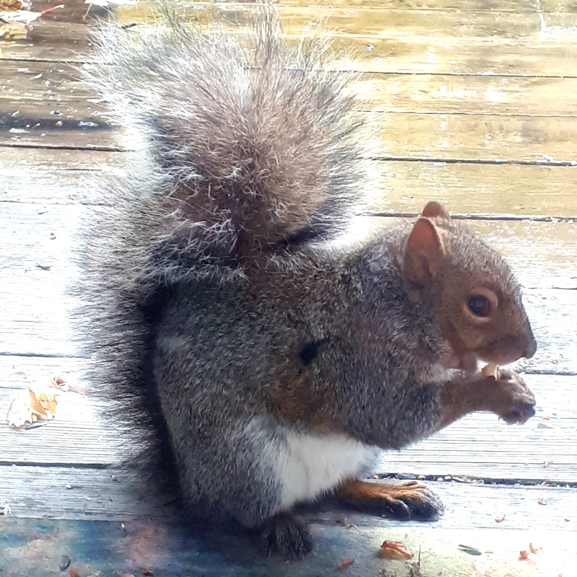 313 we have named this one David2nd.jpg