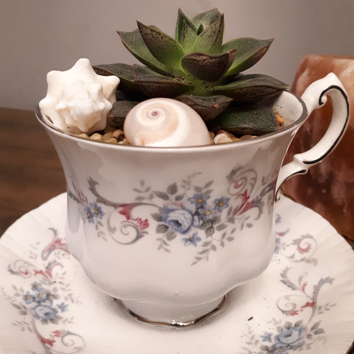 322 cup of pretty.jpg