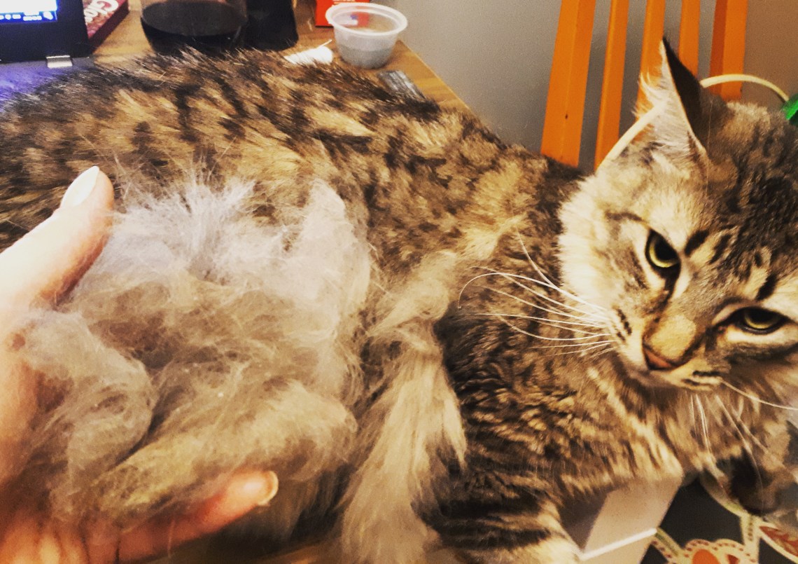 329 look of betrayal.jpg