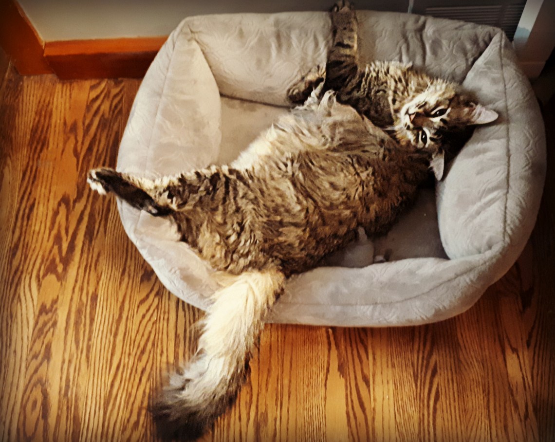 27 draw me like one of your french girls.jpg