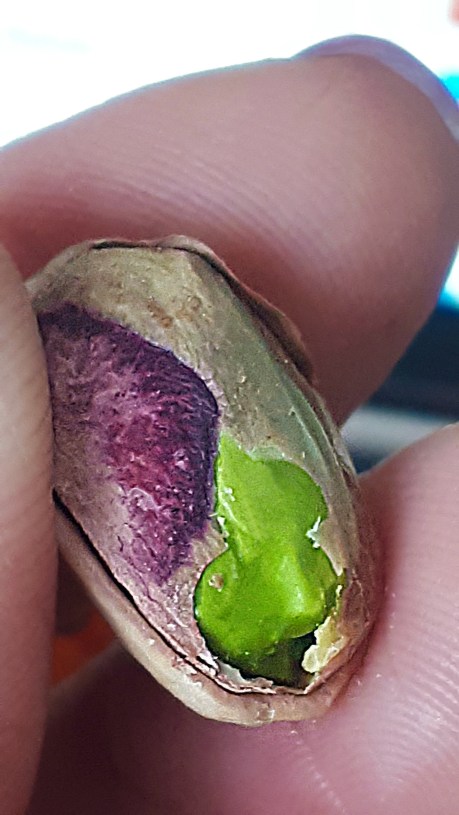 63 pistacio colours.jpg