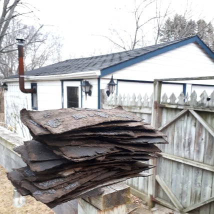 81WINSORM AFTERMATH.jpg