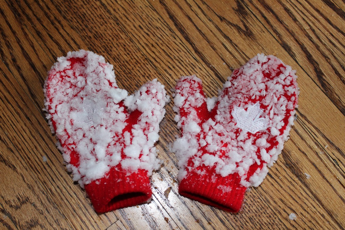 90 Candian spring.JPG