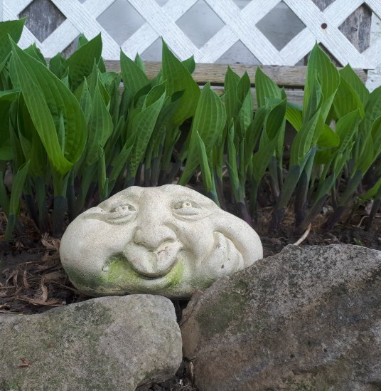 141 garden trool.jpg