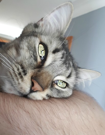 160 the snuggle is real.jpg