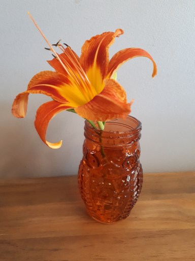 192 tiger lily.jpg