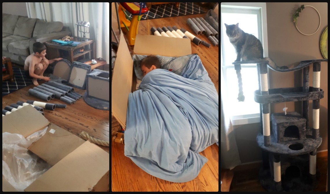 197 cat tree building