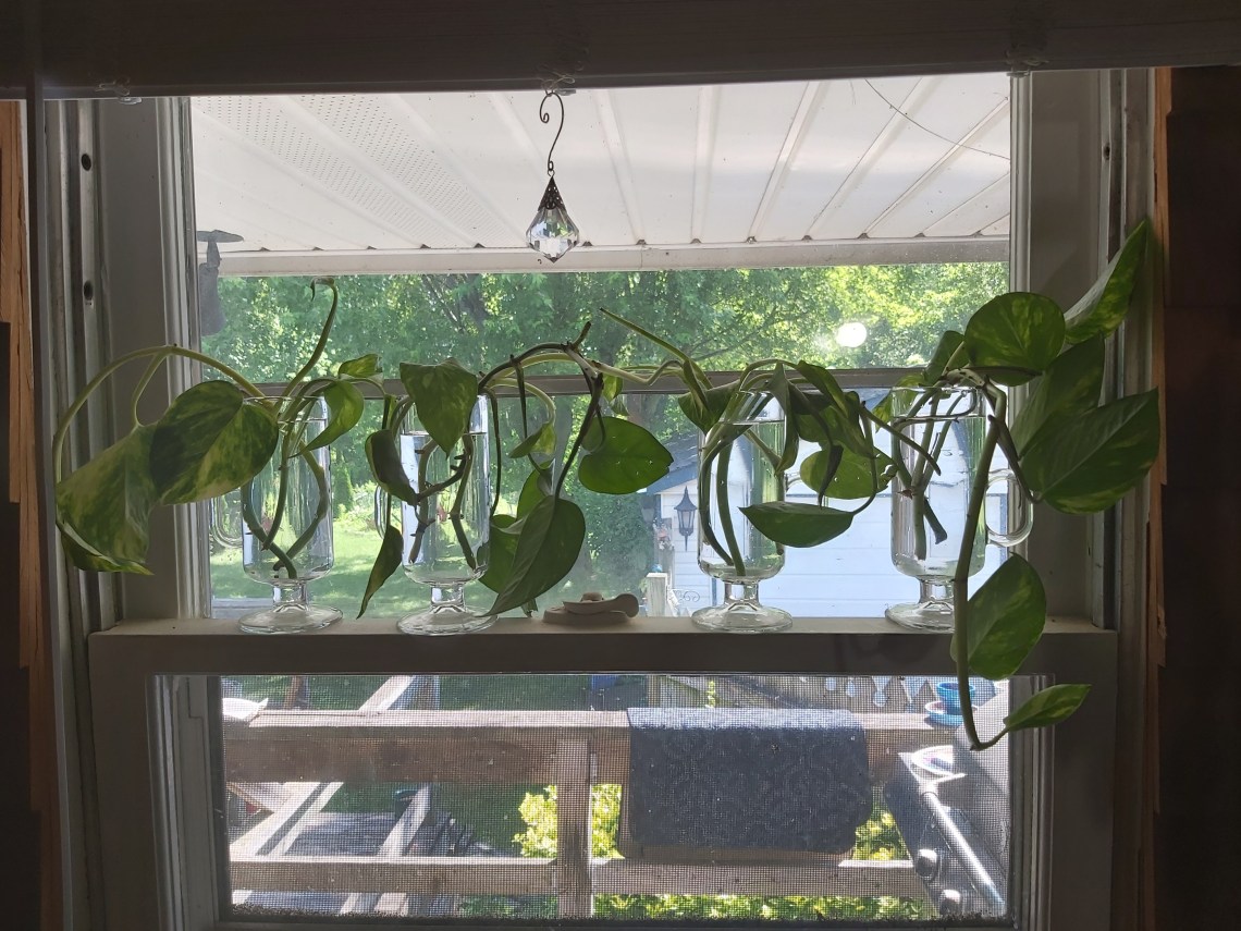 202 window cuttings.jpg