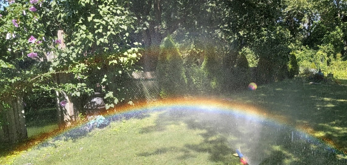 228 sprinkler magic.jpg