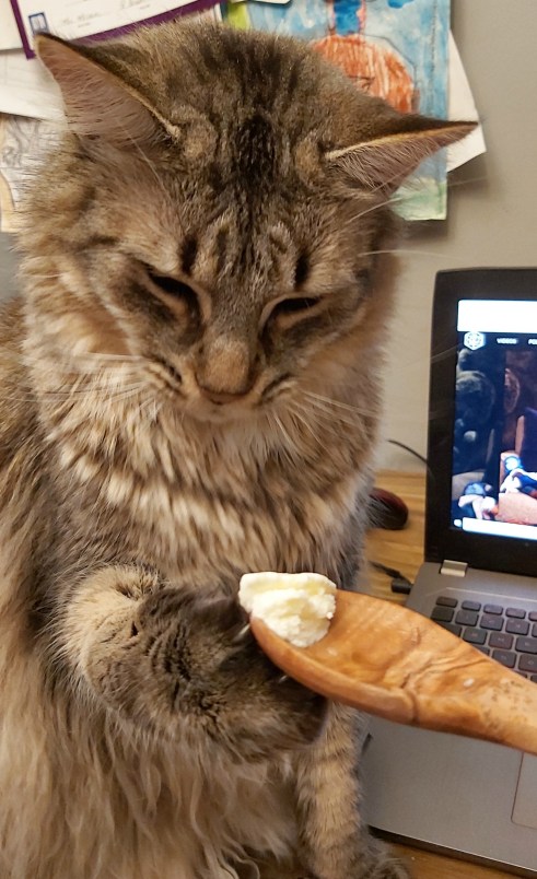 229 shareing is careing