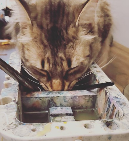 259 his fresh water is 2.5 feet away.jpg